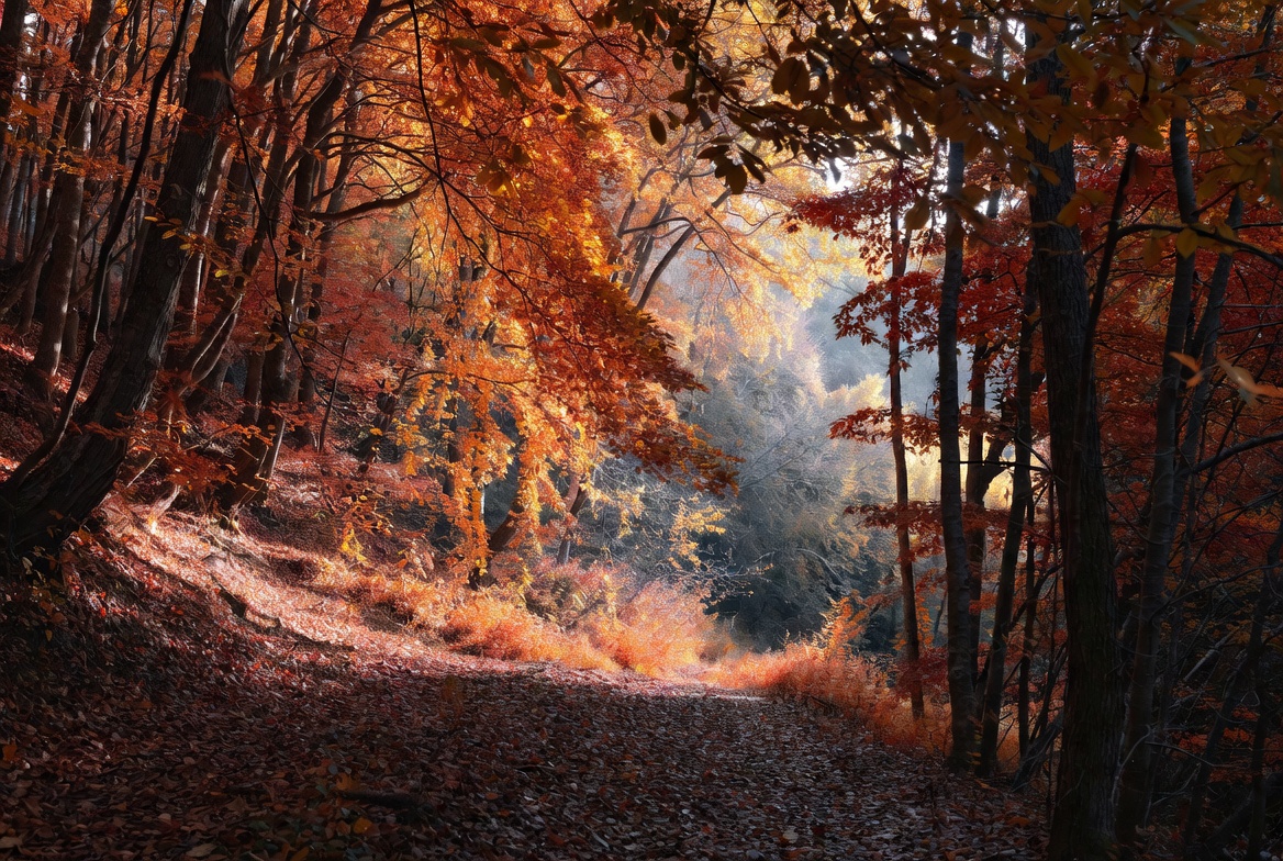 Outdoor & Recreation